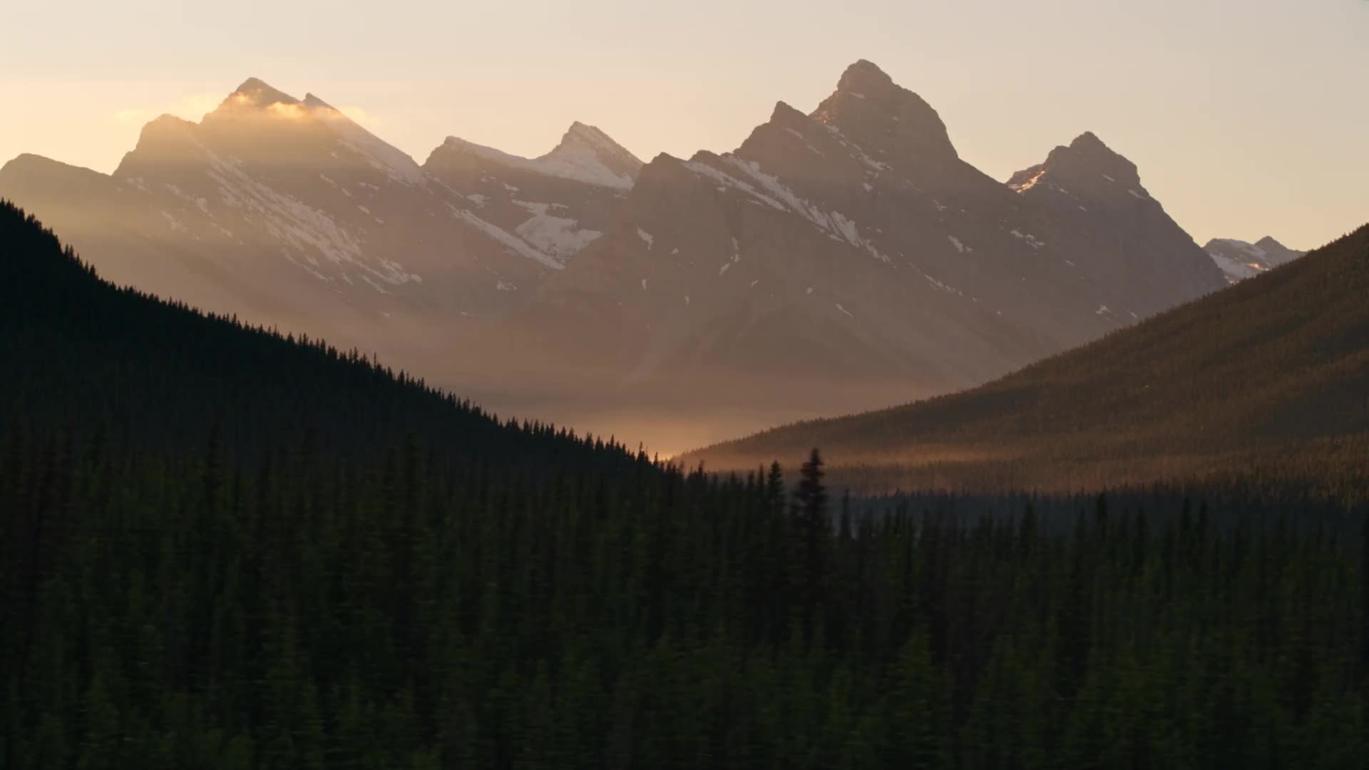 Snow-capped Rocky Mountain peaks at dawn above a forested valley, with mist drifting through the trees
